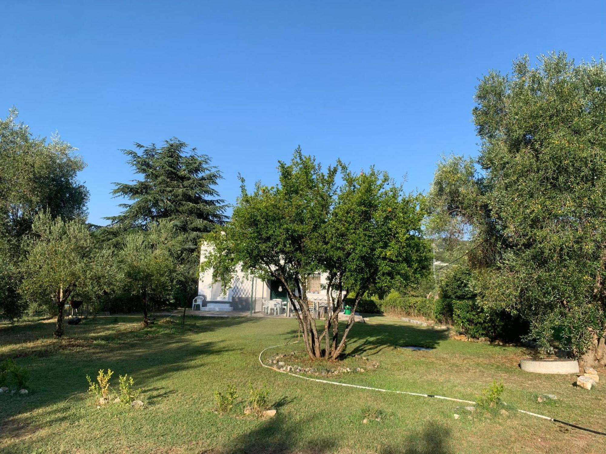 Casa Colonica Di Campagna Come Era Una Volta 페스키치 외부 사진